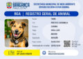 Prefeitura orienta tutores a emitir Registro Geral Animal (RGA)
